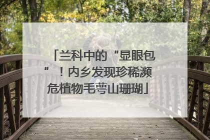 兰科中的“显眼包”！内乡发现珍稀濒危植物毛萼山珊瑚